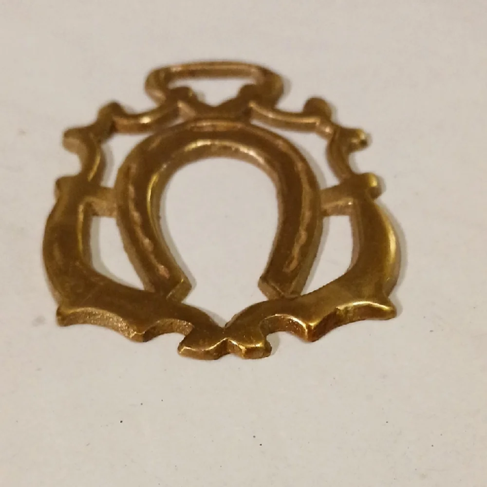 Antique Brass Horseshoe Wall Accent - Picture 5 of 6